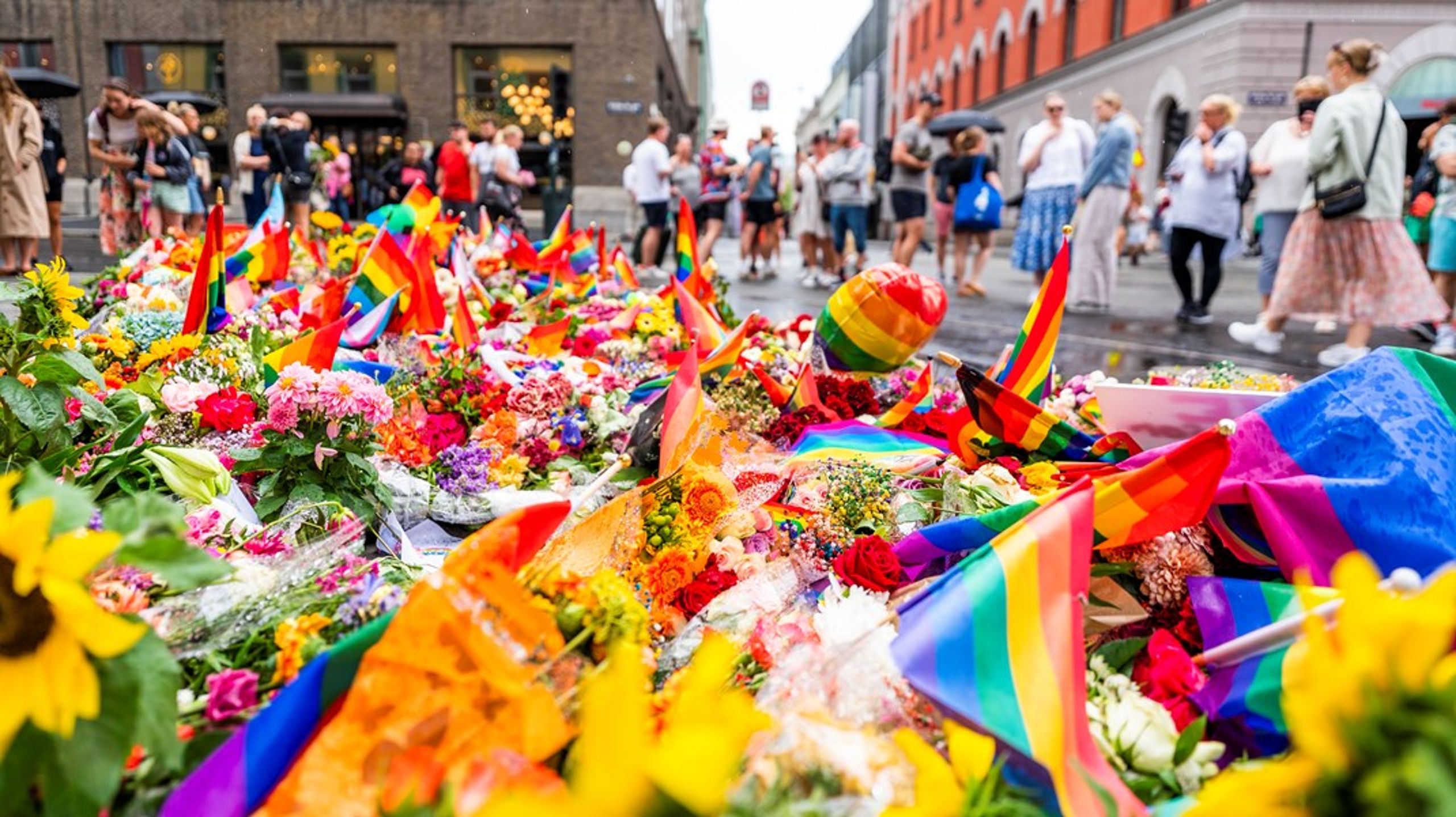 Denne uken har det gått ett år siden angrepet ved London Pub og Per på hjørnet, der to personer ble drept og flere ble skadet. I dette innlegget påpeker Margrete Bjørge Katanasho, styreleder i Landsrådet for Norges barne- og ungdomsorganisasjoner,&nbsp;at det fremdeles er like viktig at vi står sammen mot holdninger som gjør noen av oss mindre trygge som seg selv.