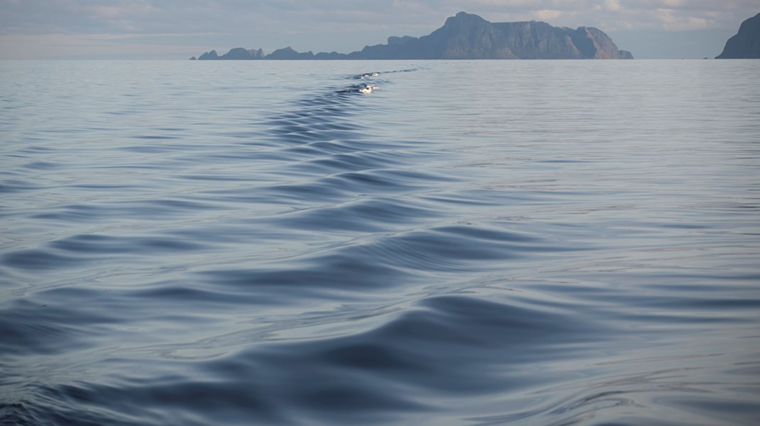 Stortinget behandler nå regjeringens forvaltningsplaner, og har en enestående mulighet til å sikre at Norge ikke bare snakker om bærekraftig havforvaltning, men faktisk implementerer det gjennom en robust, helhetlig marin arealplan, skriver innleggsforfatterne.