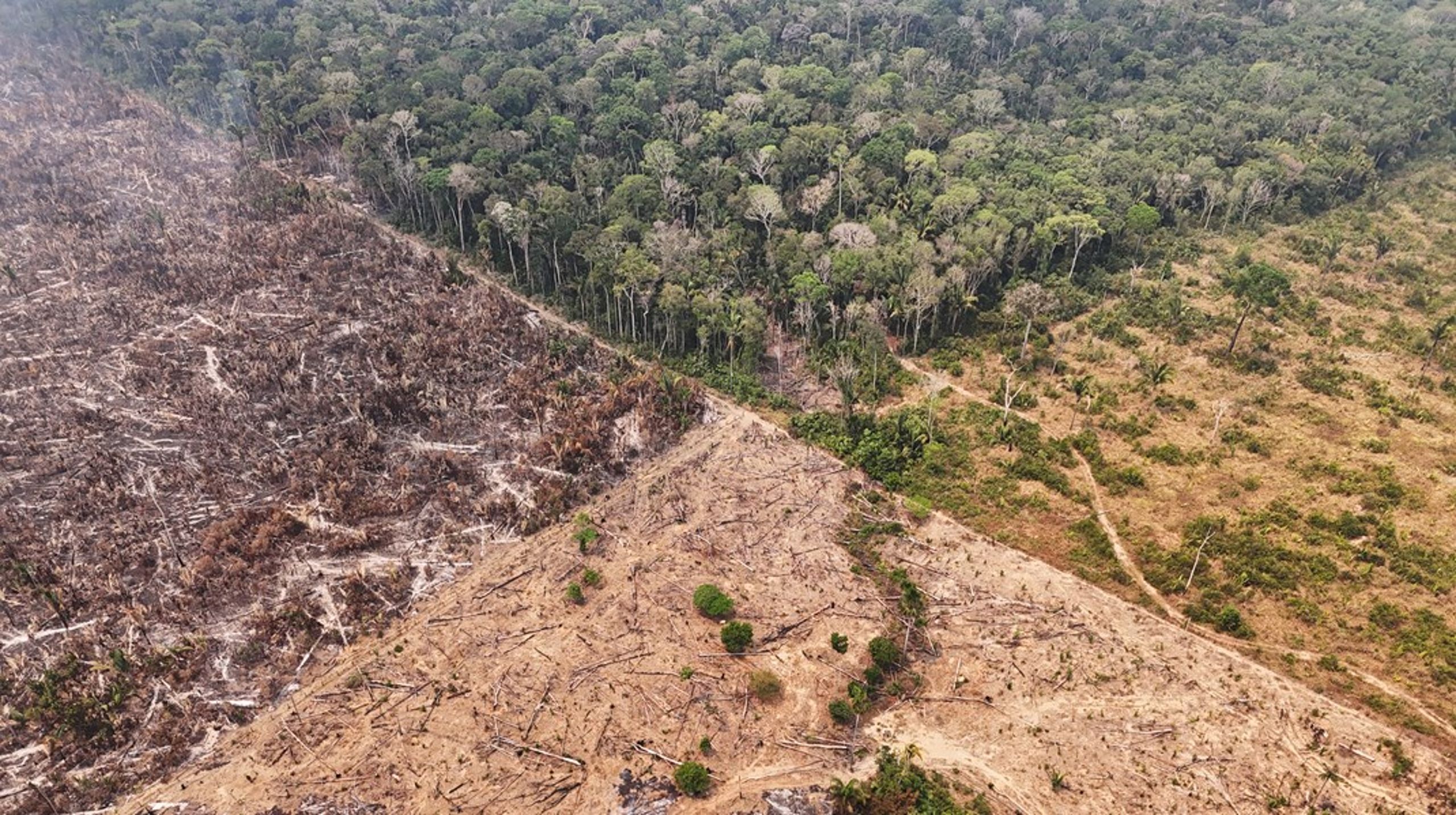 Amazonas opplever rekordtørke og skogbranner, og fjerner ikke lenger mer CO2 enn den slipper ut.&nbsp;