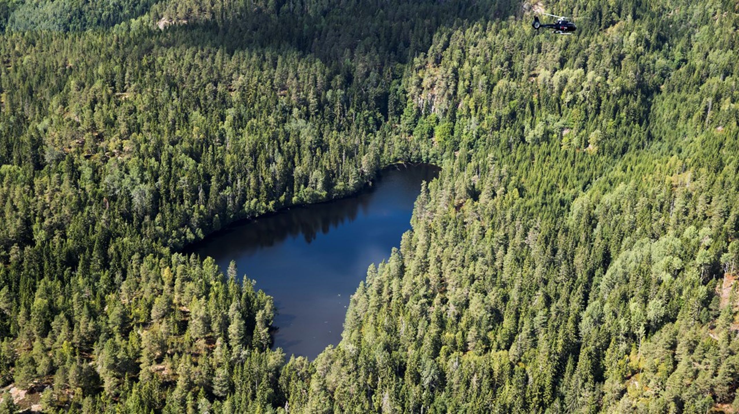 –&nbsp;Når vi ser at arealene våre tar opp mindre klimagasser og samtidig slipper ut mer, betyr det at vi går i helt feil retning, sier Ellen Hambro, direktør for Miljødirektoratet.