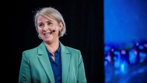 Sofie Nystrøm om sin nye jobb: – Kjernen er å beskytte fremtidens verdier