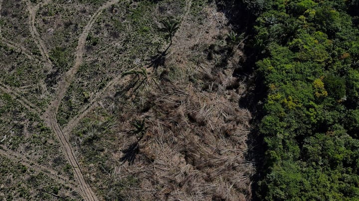 GRID-Arendal:  Naturen er fortsatt den store taperen 