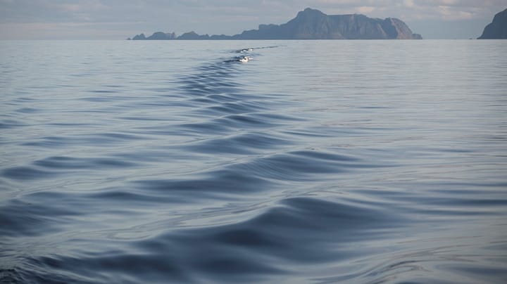 Næringer enige: Havet fortjener en plan – tar Stortinget ansvar?